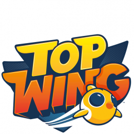 images/categorieimages/top-wing-123.png