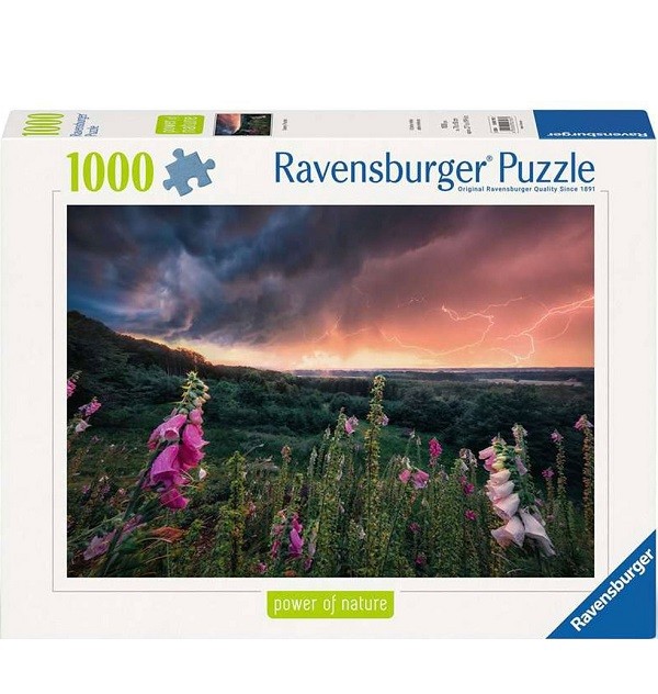Ravensburger Puzzel Dreamy Thunder 1000 stukjes