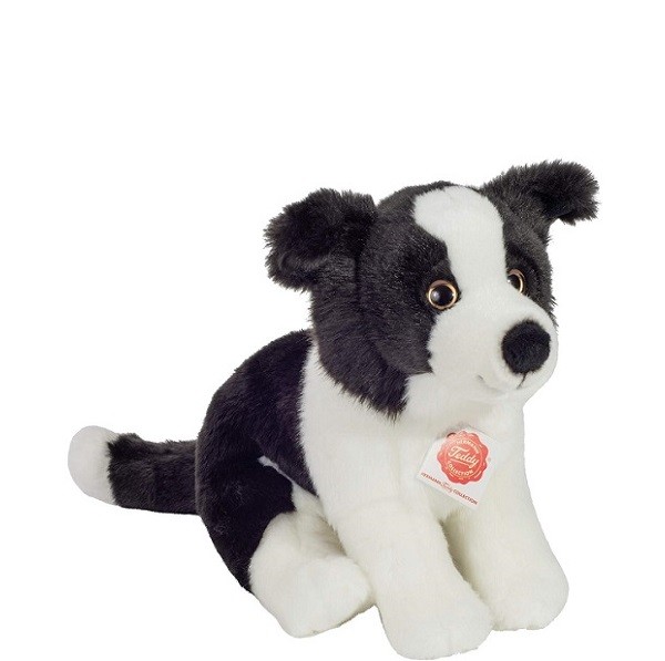 Hond Border Collie Pup Zittend 24 cm