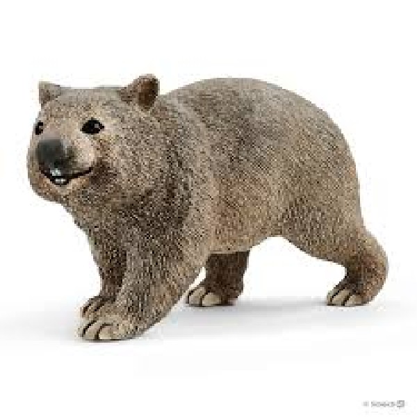 images/productimages/small/56212Schleich_Wombat_14834.jpg