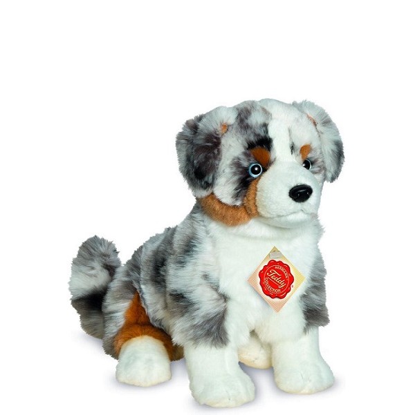 Hond Australian Shepherd Pup 30 cm