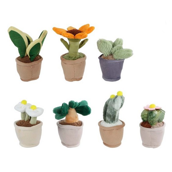 images/productimages/small/Plant_Take_me_Home_Assorti_12_17_cm.jpg