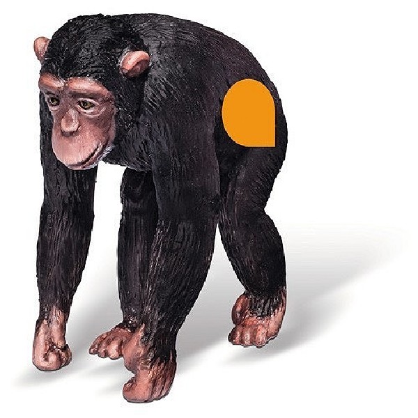 Tiptoi Chimpansee