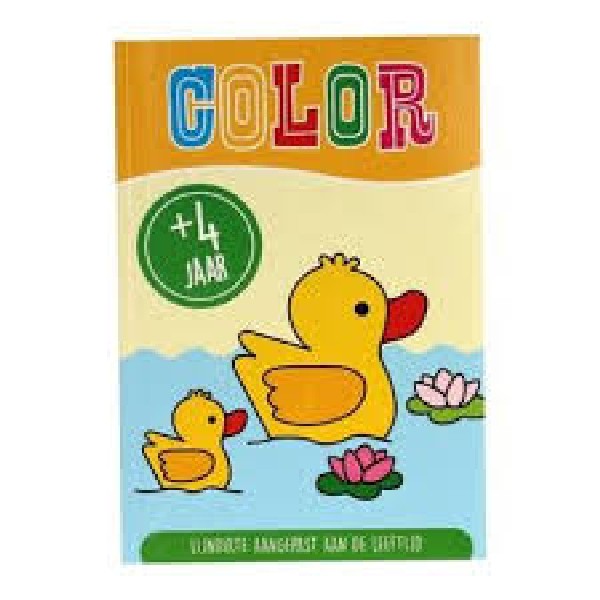 Dikke Lijnen Kleurboek Color