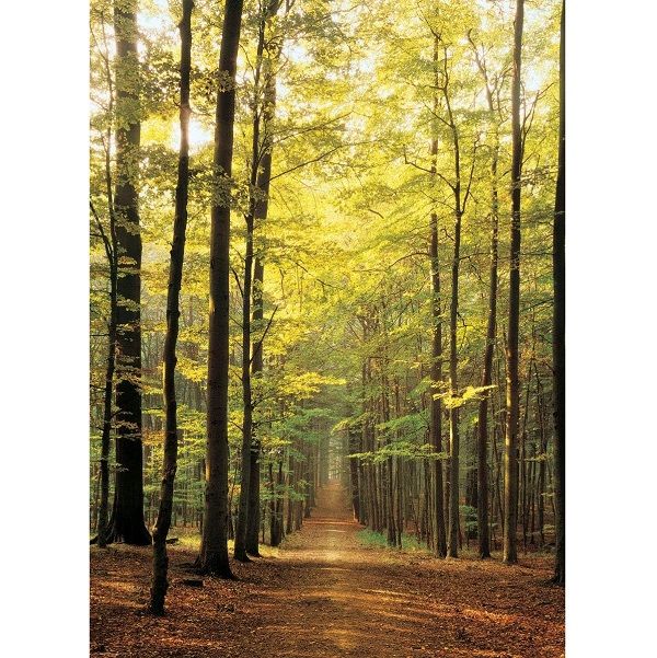 Eurographics Puzzel Forest Path 1000 stukjes
