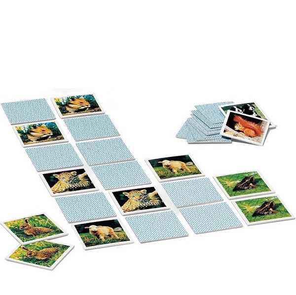 Memory Jonge Dieren Pocket