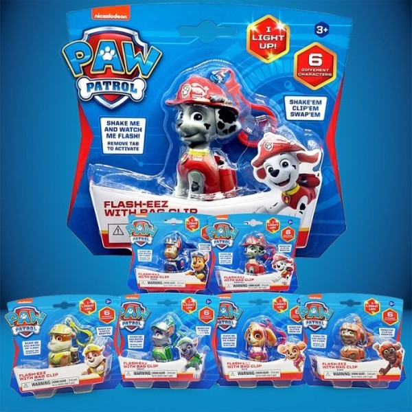 Paw Patrol Flasheez Single Pack Assorti 