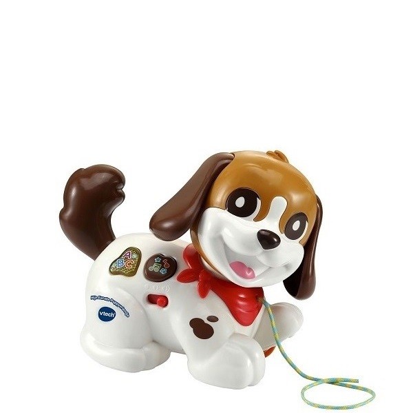 Vtech Baby Mijn Eerste Puppyvriendje